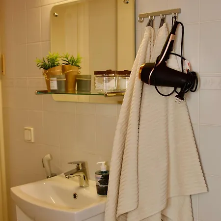 River With Sauna, Balcony, Free Wifi דירה רובניימי