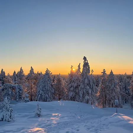 River With Sauna, Balcony, Free Wifi Appartement Rovaniemi