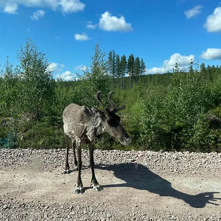 River With Sauna, Balcony, Free Wifi Daire