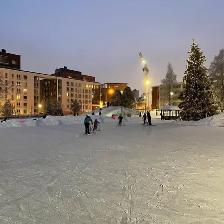 River With Sauna, Balcony, Free Wifi Appartamento Rovaniemi