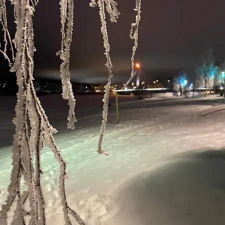 Arctic River Nest-rovaniemi With Sauna And Free Wi-fi アパート *