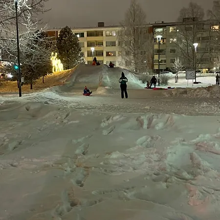 River With Sauna, Balcony, Free Wifi * Rovaniemi