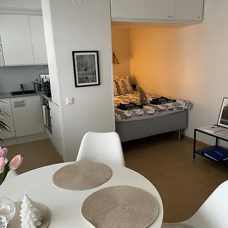 Arctic River Nest-rovaniemi With Sauna And Free Wi-fi アパート *
